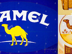 Camel Logo and cigarette pack