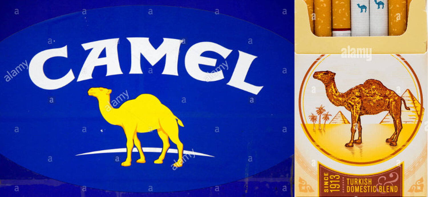 Camel Logo and cigarette pack